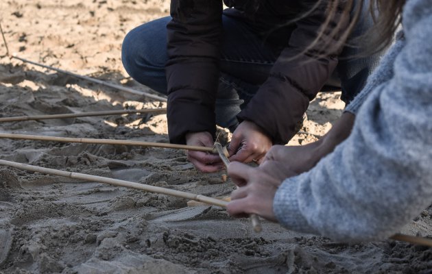 Bamboo building noordwijk 